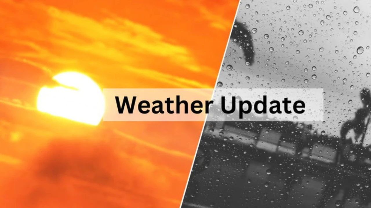 Haryana weather update rain alert fog cold wave today