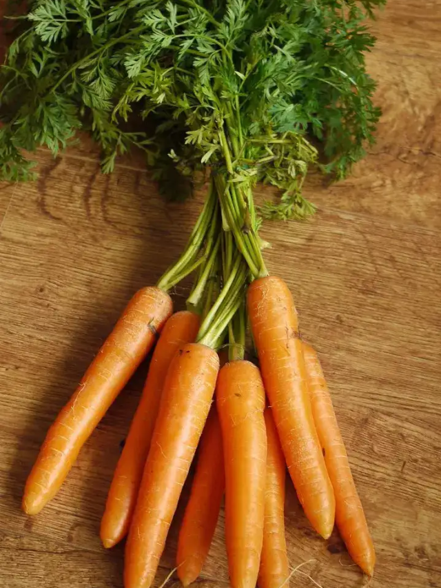 How beneficial is carrot vegetable in winter, know complete information here