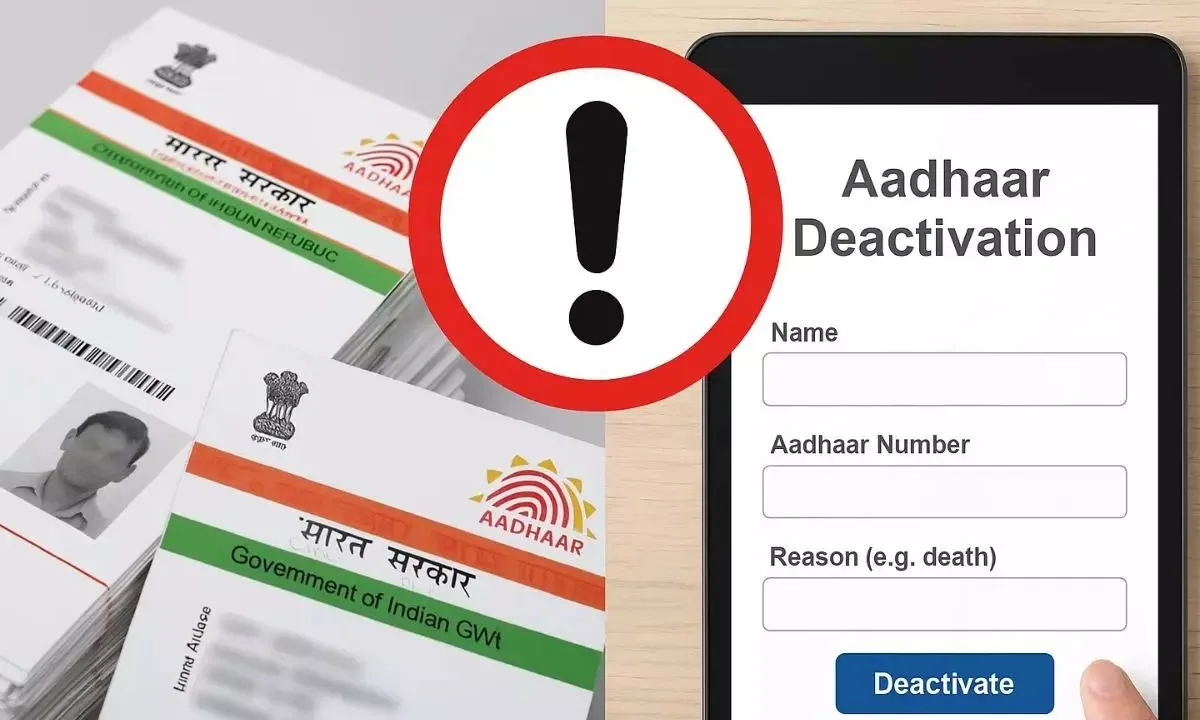 UIDAI Update Crores of Aadhaar card numbers deactivated, check your Aadhaar