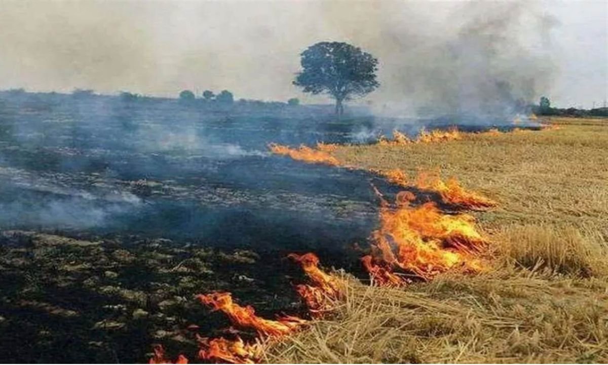 Jind : फसल अवशेष जलाने पर DC ने कृषि विभाग के SDO, कर्मचारियों, पटवारियों, ग्राम सचिवों को भेजे नोटिस 2 Jind DC issues notices to SDO, employees, Patwaris and village secretaries of the Agriculture Department for burning crop residue.