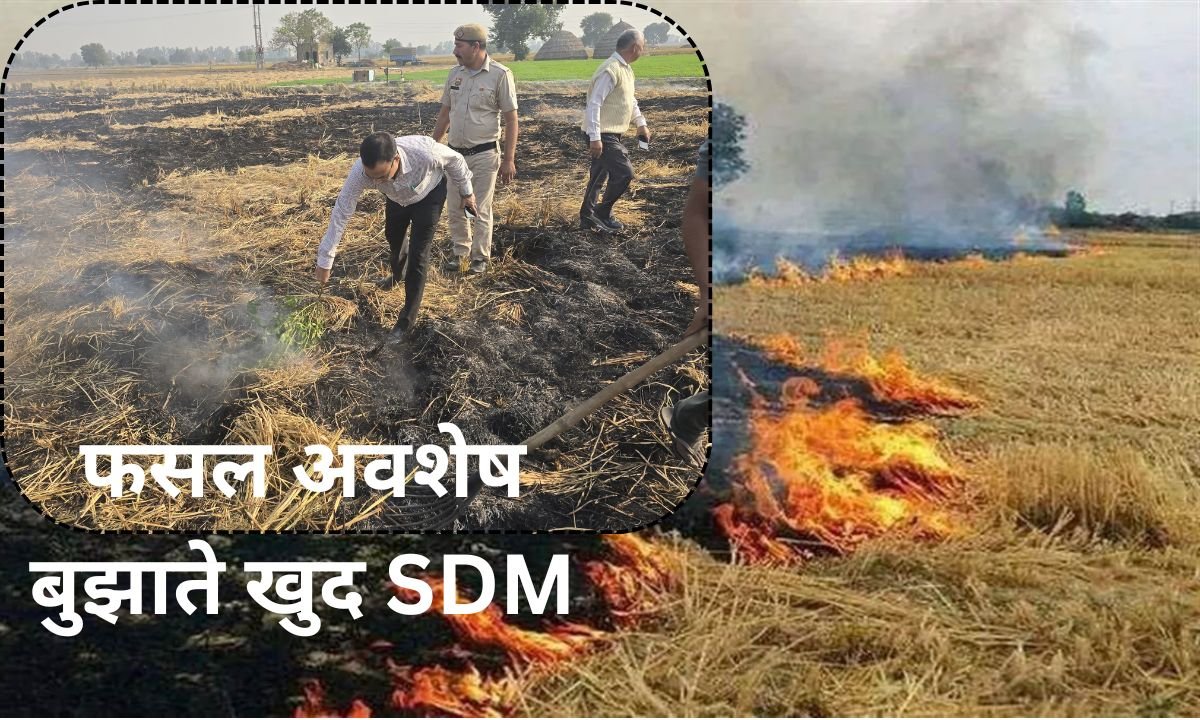 Jind : फसल अवशेष जलाने पर DC ने कृषि विभाग के SDO, कर्मचारियों, पटवारियों, ग्राम सचिवों को भेजे नोटिस 1 Jind DC issues notices to SDO, employees, Patwaris and village secretaries of the Agriculture Department for burning crop residue.