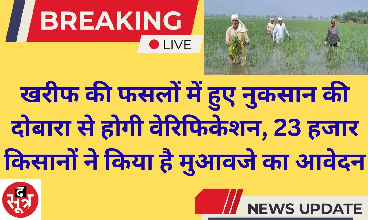 Jind Kharif crop losses will be re-verified; 23,000 farmers have applied for compensation.