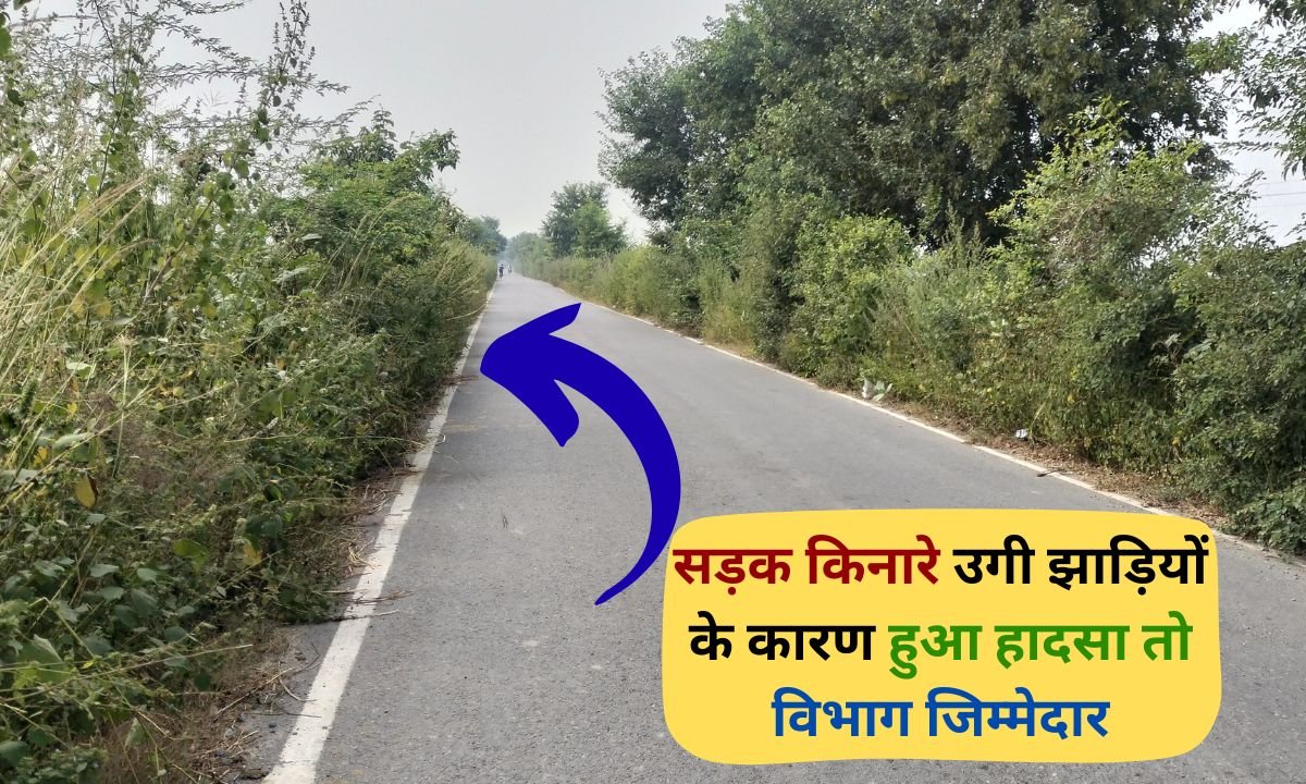 Jind News If an accident occurs due to bushes growing on the roadside, the concerned department will be held responsible.