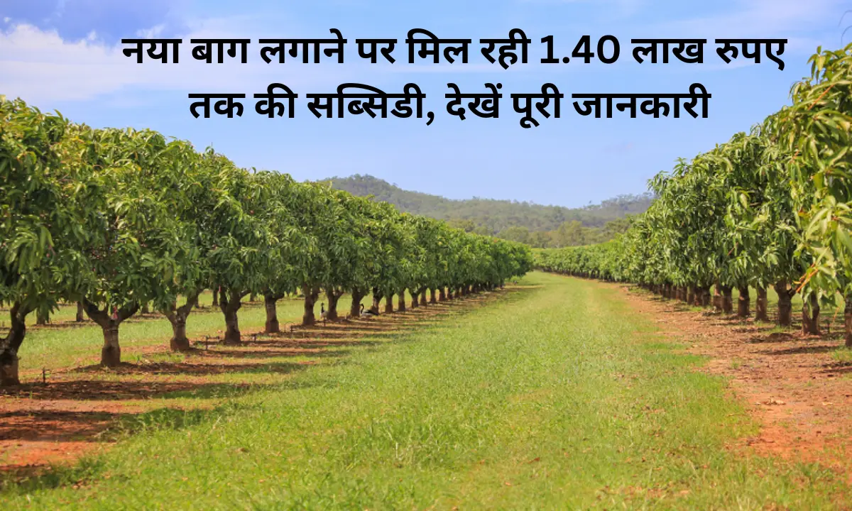 New Orchard Subsidy You will get a subsidy of up to Rs 1.40 lakh per acre for planting a new orchard, apply immediately.