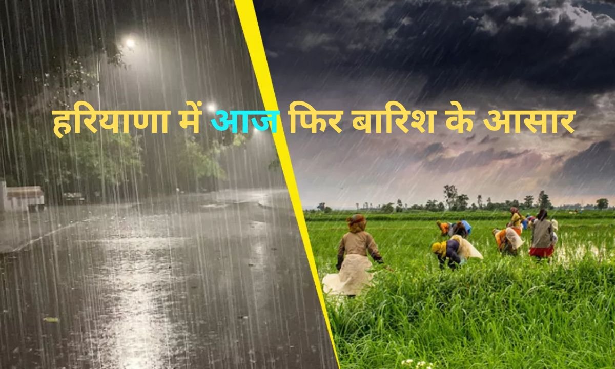 Paddy harvesting is to be done today, rain is expected in many districts of Haryana today, see weather forecast