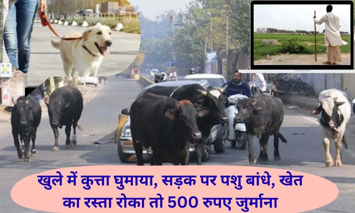 Public Trust Ordinance: If you tie an animal on the road or leave a dog open, you will be fined Rs 500. Know what is the Public Trust Ordinance.
