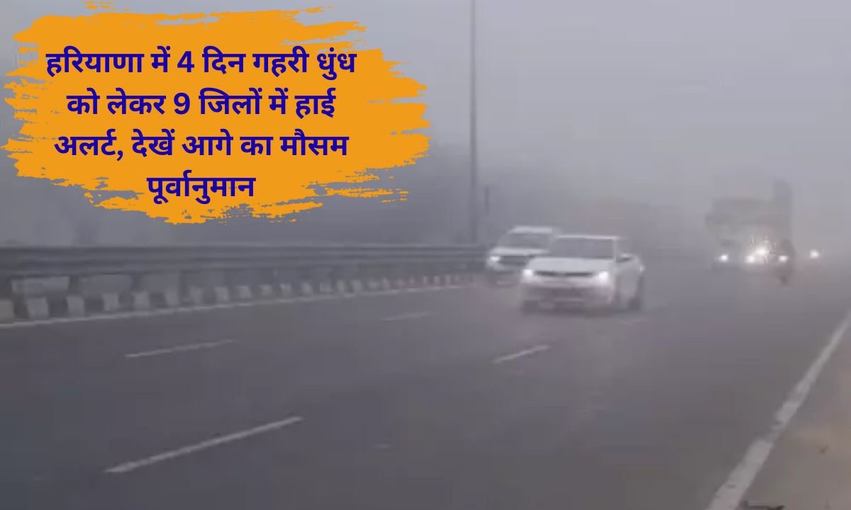 Fog Alert 9 districts in Haryana on high alert for 4 days due to dense fog, see future weather forecast