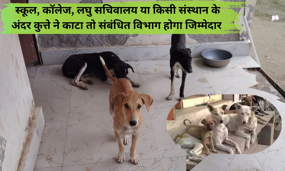 Haryana New Rule If a dog bites inside a school, college, mini secretariat or any institution, the concerned department will be held responsible.
