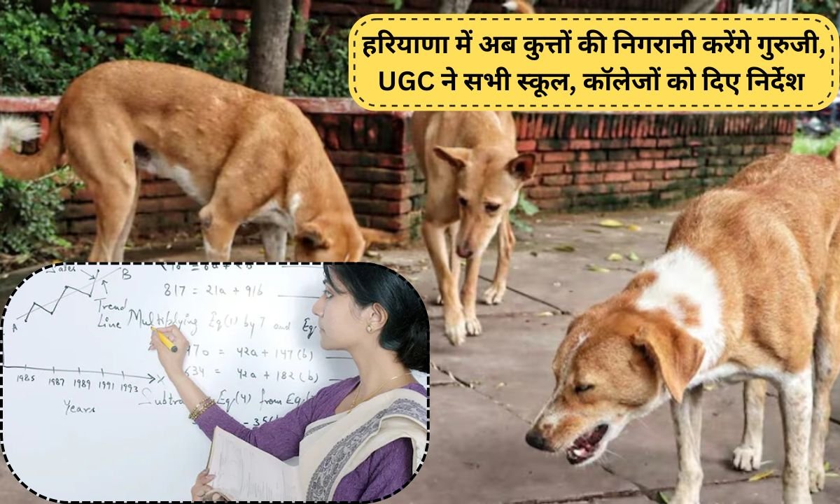 Haryana Now, teachers will monitor dogs in Haryana; UGC has issued instructions to all schools and colleges.