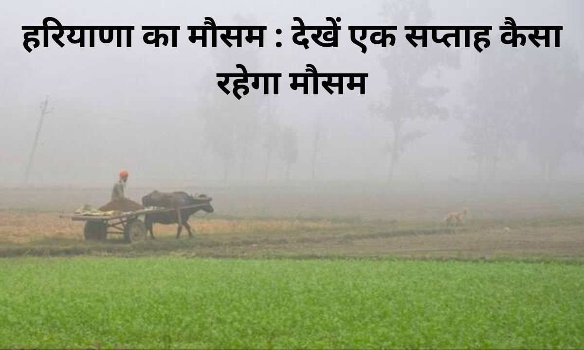 Mausam Update Weather of Haryana Fog will prevail amidst light clouds, see how the weather will be for a week.