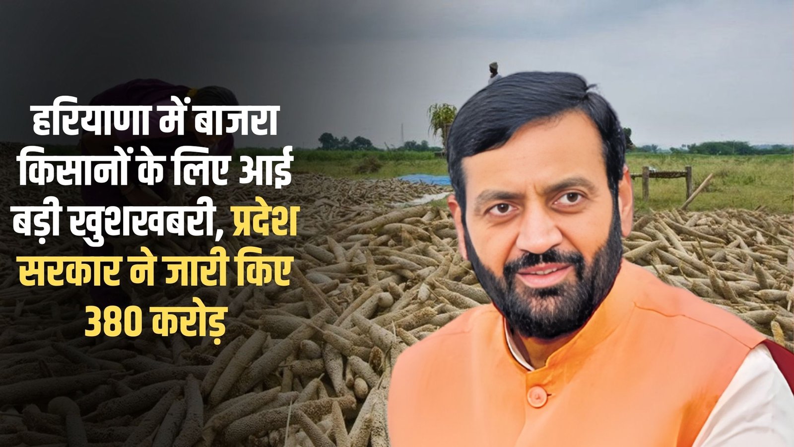 Haryana Agriculture News: Big news for millet farmers in Haryana, state government released Rs 380 crore