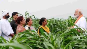 Farmer KCC Loan: Getting a KCC loan under the 'Farmer Registry' PM Kisan Yojana will also be easy, know the full details here.