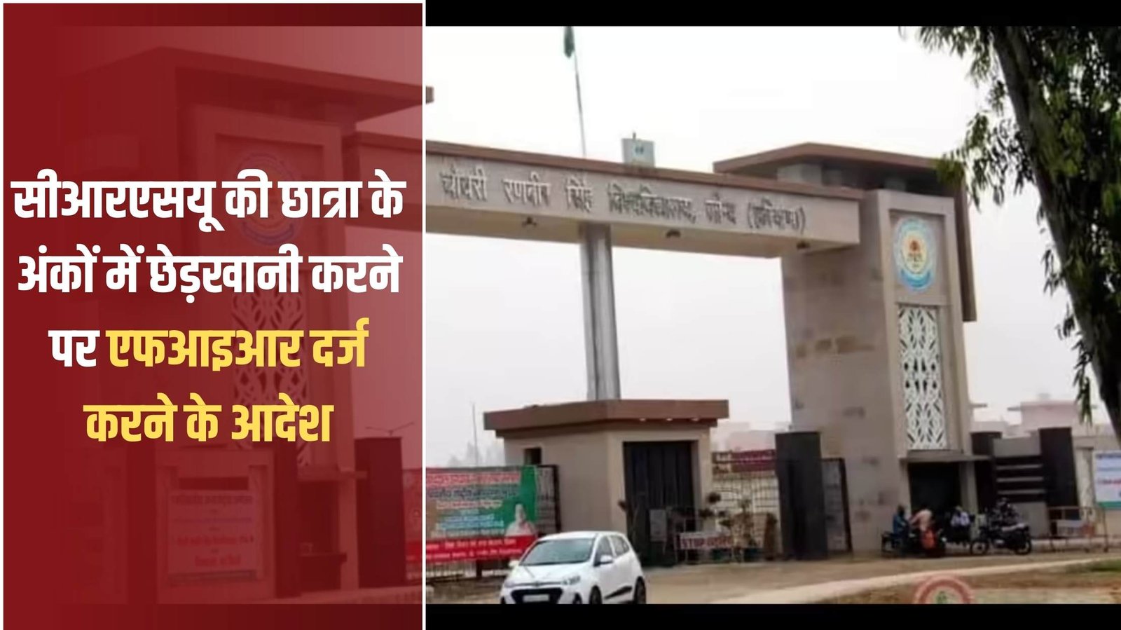 CRSU Jind: FIR ordered for tampering with the marks of a CRSU student